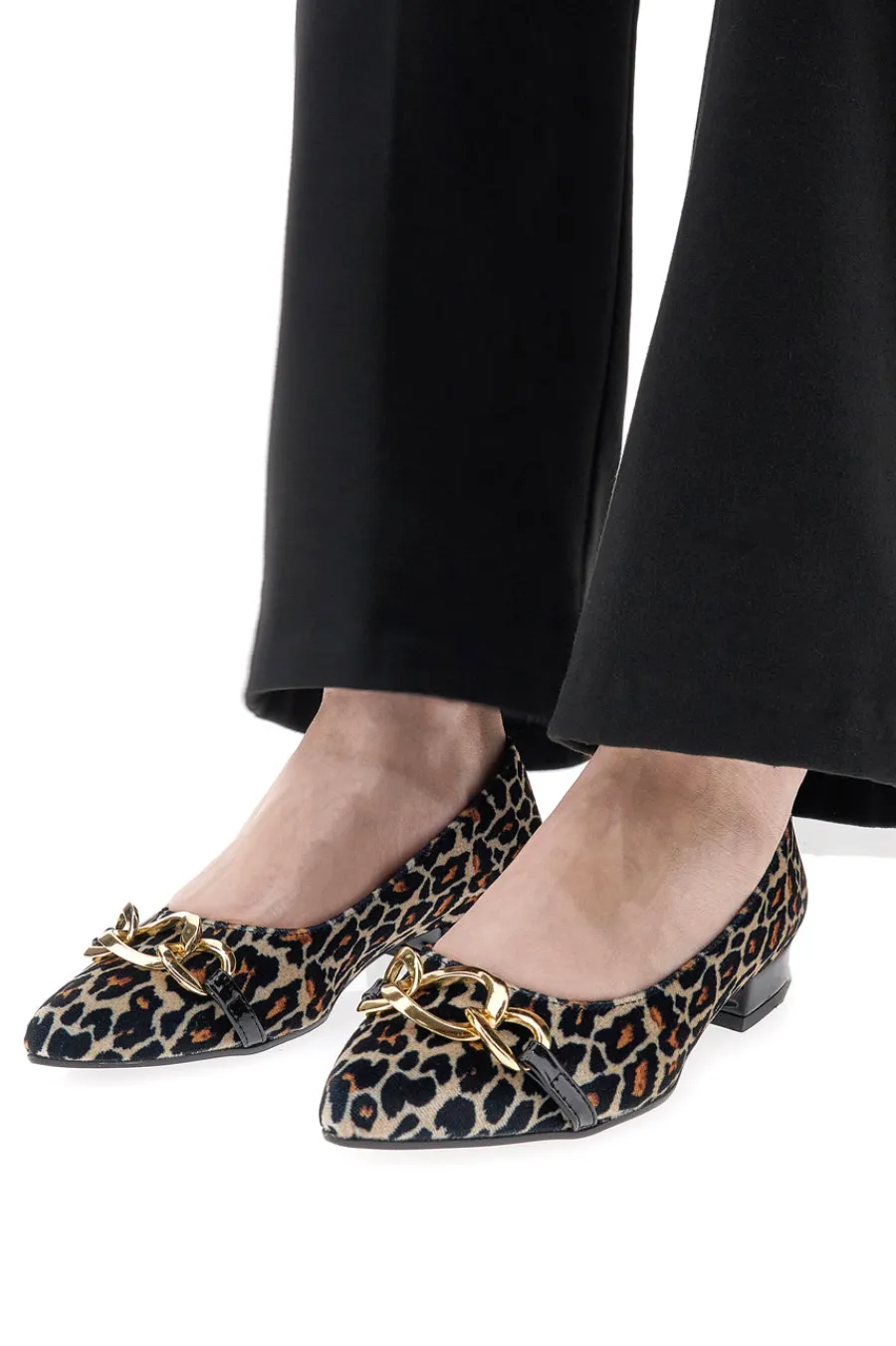 Ballerine Leopardate a punta 3502-PITTARELLO GLAM Online