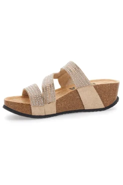 -PRIMA RIGA New