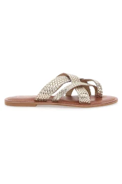 Ciabatte Infradito Light Gold 4582-PITTARELLO LOOK Clearance