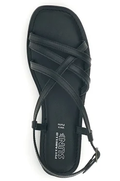 TIM9936 SCHWARZ-PITTARELLO SUN Sale