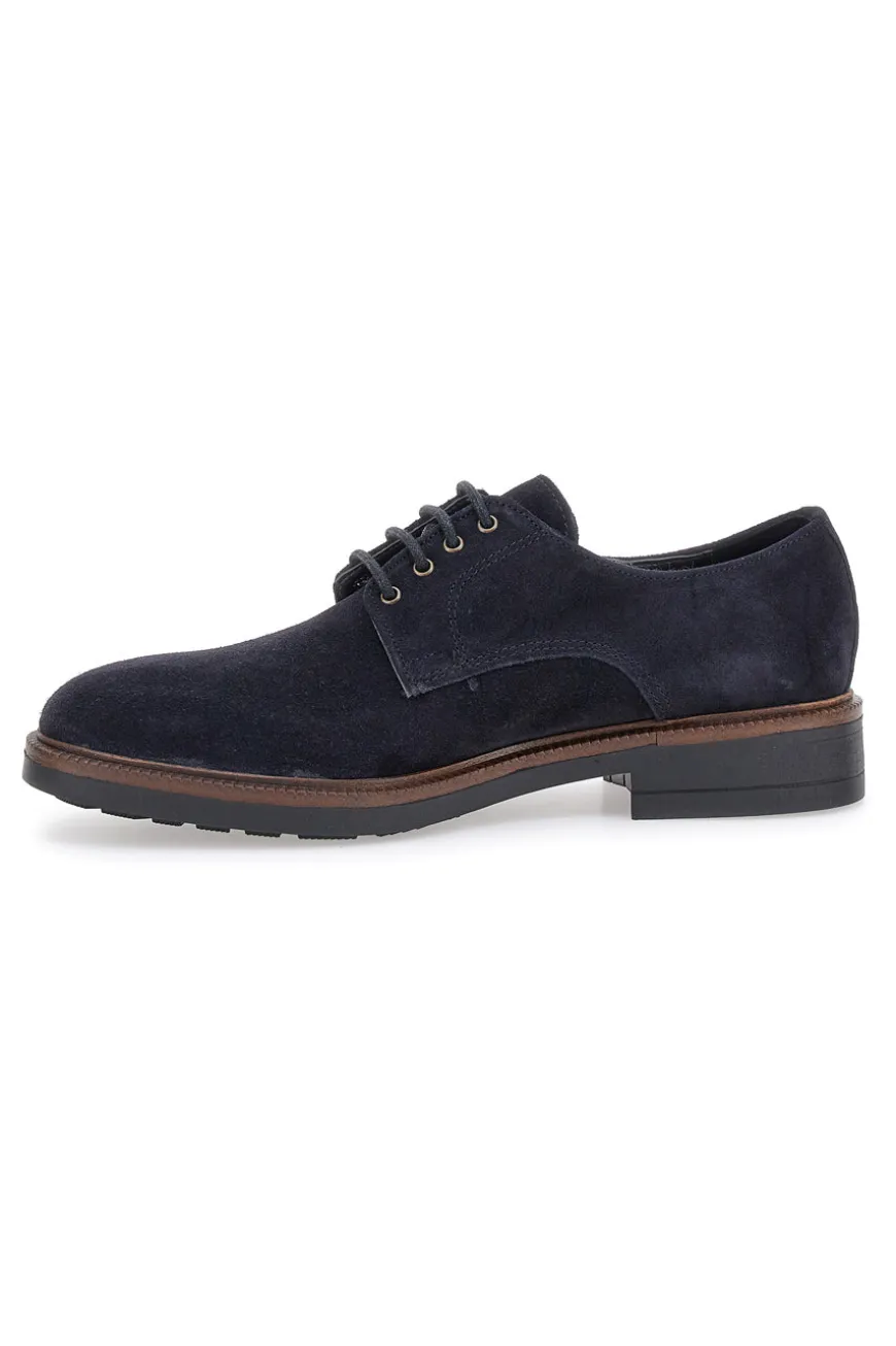Scarpe stringate Blue in pelle scamosciata Pittarello class 600