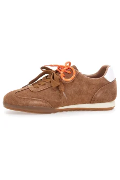 Sneakers marroni in vera pelle con doppi lacci BT251278010-PITTARELLO CAPSULE Discount