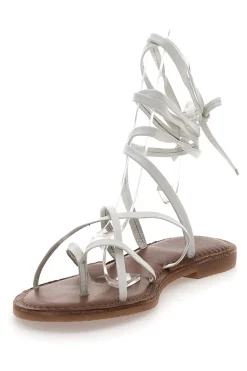 -PITTARELLO SUN New